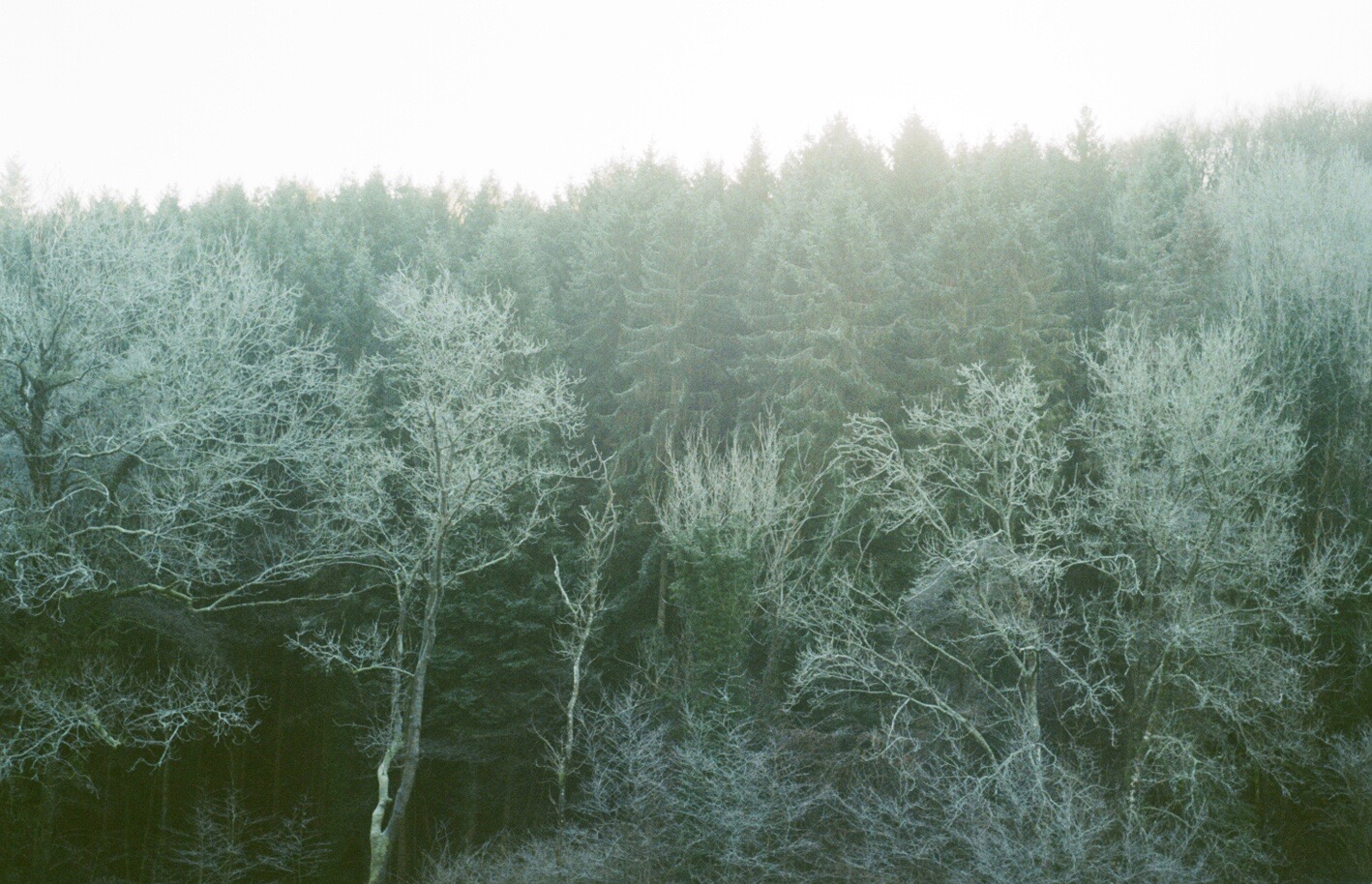 Acupuncture for addiction&nbsp;1/2